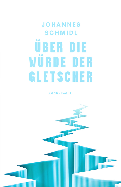 Über die Würde der Gletscher - Johannes Schmidl