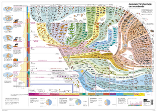 Wirbeltieratlas (Poster) - Arthur Escher; Robin Marchant