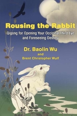 Rousing the Rabbit - Wu Baolin, Brent Christopher Wulf