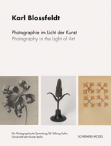 Photographie im Licht der Kunst / Photography in the Light of Art - 