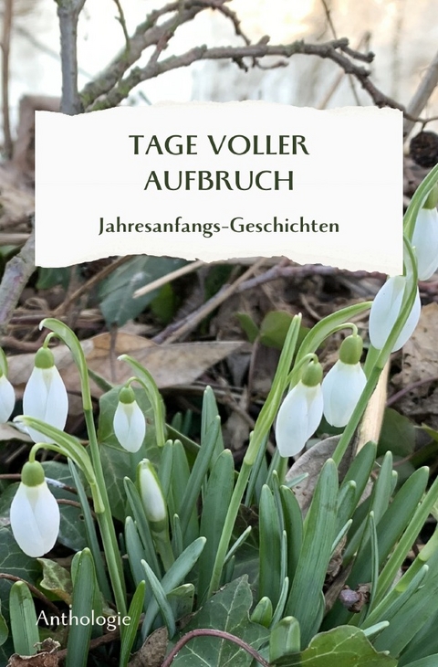 Monatsgeschichten / TAGE VOLLER AUFBRUCH - Jahresanfangsgeschichten - Margit Thürauf, Christine Hagelkrüys, Leonore Michaelis, Ilona Weinrich, Anneliese Naser