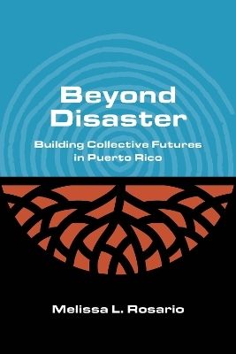 Beyond Disaster - Melissa L Rosario