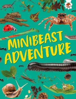 Minibeast Adventure - Emily Kington