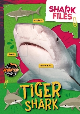 Tiger Shark - Robin Twiddy