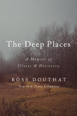 In a Dark Wood - Ross Douthat