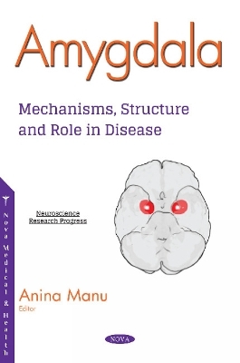 Amygdala - 