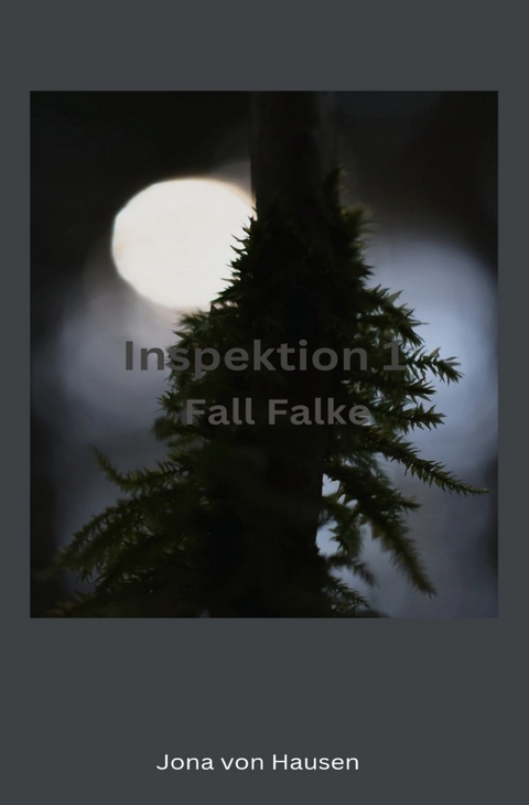 Inspektion 1 - Fall Falke - Jona von Hausen