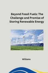 Beyond Fossil Fuels: The Challenge and Promise of Storing Renewable Energy -  Williams