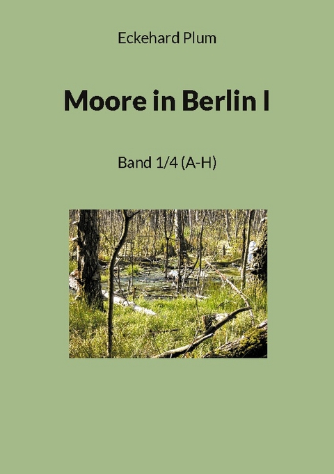 Moore in Berlin I - Eckehard Plum