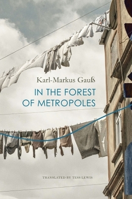 In the Forest of Metropoles - Karl-Markus Gauß