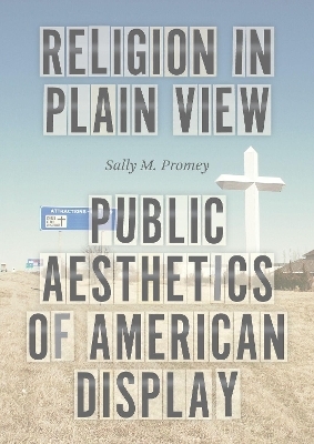 Religion in Plain View - Professor Sally M. Promey