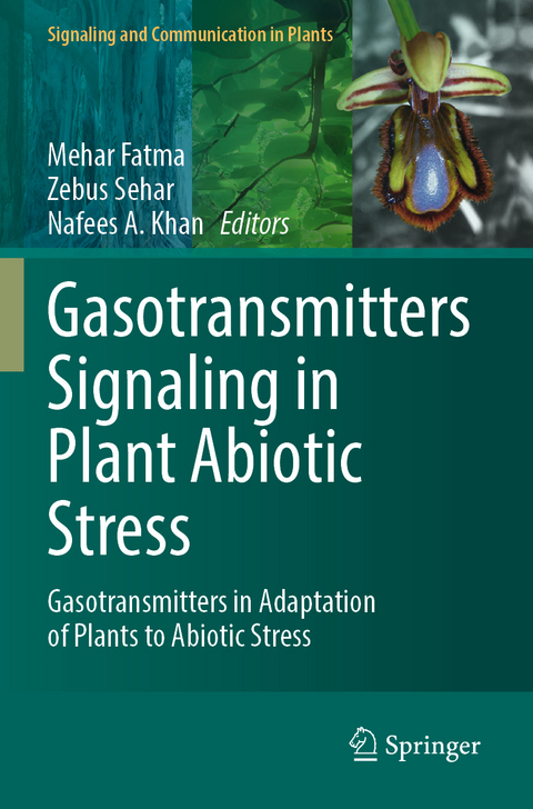 Gasotransmitters Signaling in Plant Abiotic Stress - 