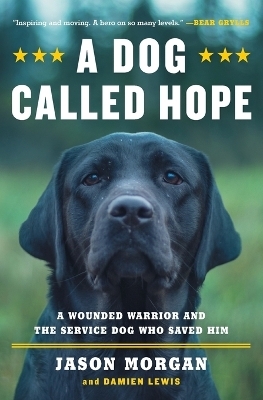 A Dog Called Hope - Jason Morgan, Damien Lewis