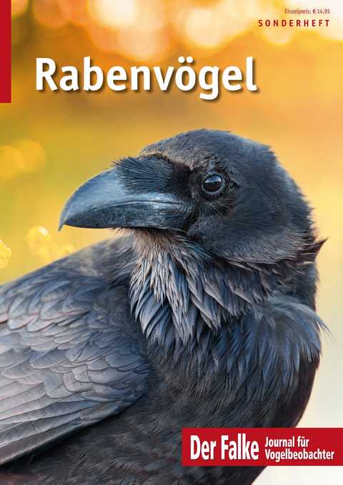 Rabenvögel - 