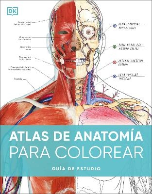 Atlas de anatomía para colorear (The Human Body Coloring Book) -  Dk