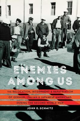 Enemies among Us - John E. Schmitz