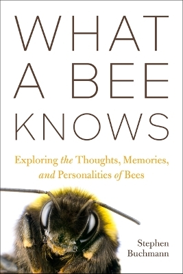 What a Bee Knows - Stephen L Buchmann