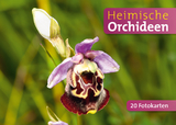 Heimische Orchideen