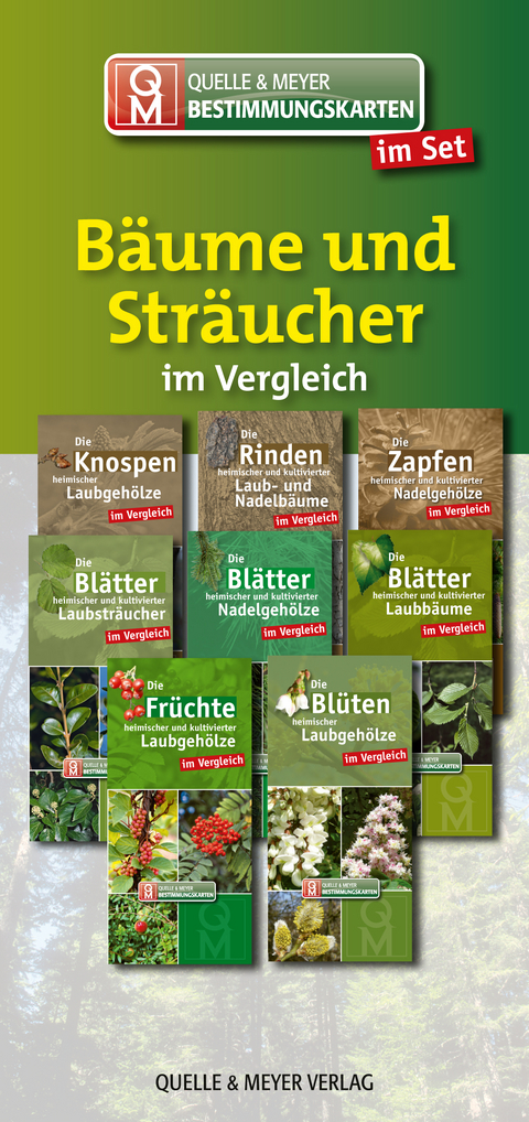 Bestimmungskarten-Set „Bäume und Sträucher“ - 