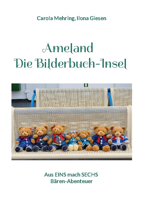 Ameland - Die Bilderbuch-Insel - Carola Mehring, Ilona Giesen