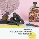 Museum Naturalienkabinett Waldenburg - 