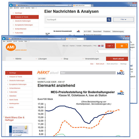 Markt aktuell Eier