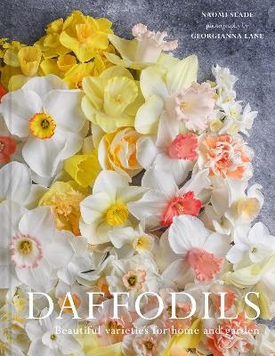 Daffodils - Naomi Slade, Georgianna Lane