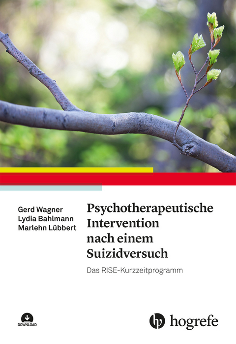 Psychotherapeutische Intervention nach einem Suizidversuch - Gerd Wagner, Lydia Bahlmann, Marlehn Lübbert