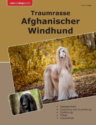 Traumrasse Afghanischer Windhund - Klaus Kreiger