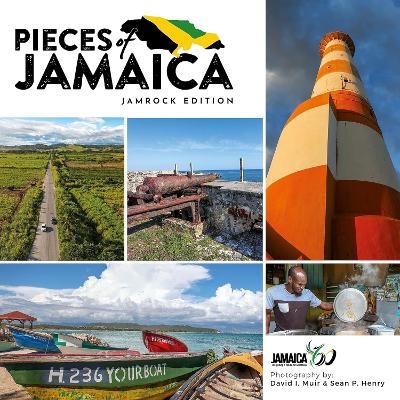 Pieces of Jamaica - Sean Henry