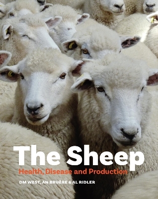 The Sheep - Dave West, Neil Bruere, Anne Ridler