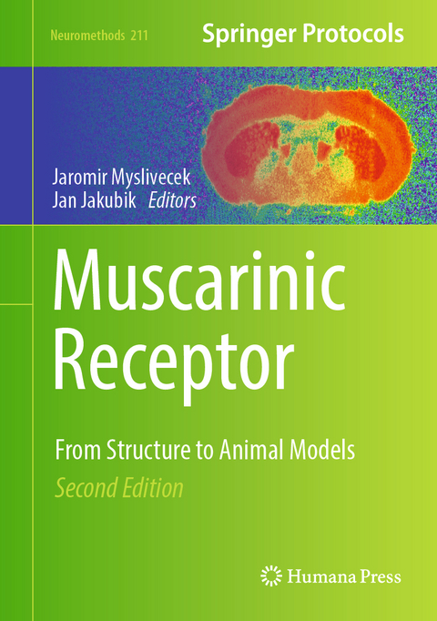 Muscarinic Receptor - 