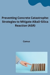 Preventing Concrete Catastrophe: Strategies to Mitigate Alkali-Silica Reaction (ASR) -  CAMUS