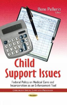 Child Support Issues - 