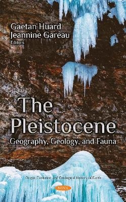 The Pleistocene - 