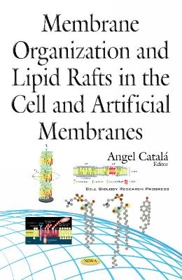 Membrane Organization & Lipid Rafts in the Cell & Artificial Membranes - 