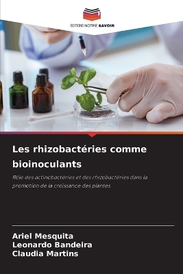 Les rhizobact�ries comme bioinoculants - Ariel Mesquita, Leonardo Bandeira, Claudia Martins