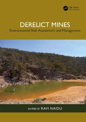 Derelict Mines - 