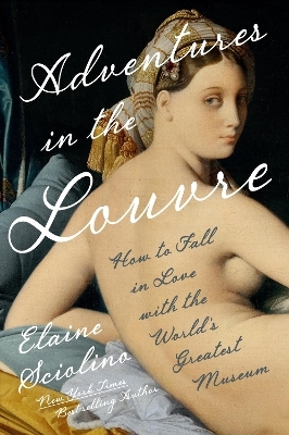 Adventures in the Louvre - Elaine Sciolino