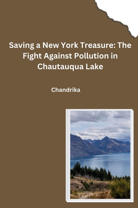 Saving a New York Treasure: The Fight Against Pollution in Chautauqua Lake -  Chandrika