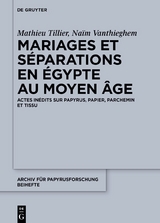 Mariages et séparations en Égypte au Moyen Âge - Mathieu Tillier, Naïm Vanthieghem