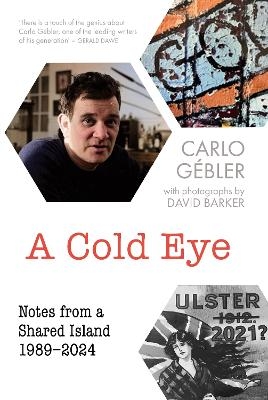 A Cold Eye - Carlo Gébler