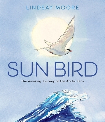 Sun Bird - Lindsay Moore