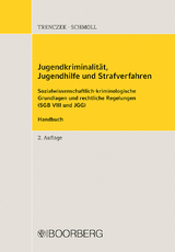 Jugendkriminalität, Jugendhilfe und Strafverfahren - Thomas Trenczek, Annemarie Schmoll