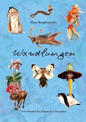 Wandlungen - Hans Berghammer