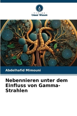 Nebennieren unter dem Einfluss von Gamma-Strahlen - Abdelhafid Mimouni