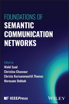 Foundations of Semantic Communication Networks - 