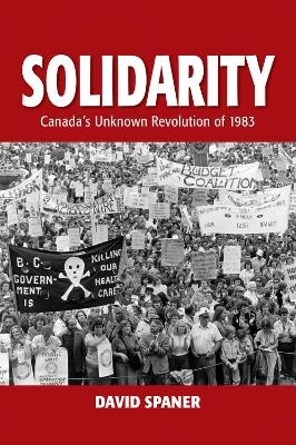 Solidarity - David Spaner