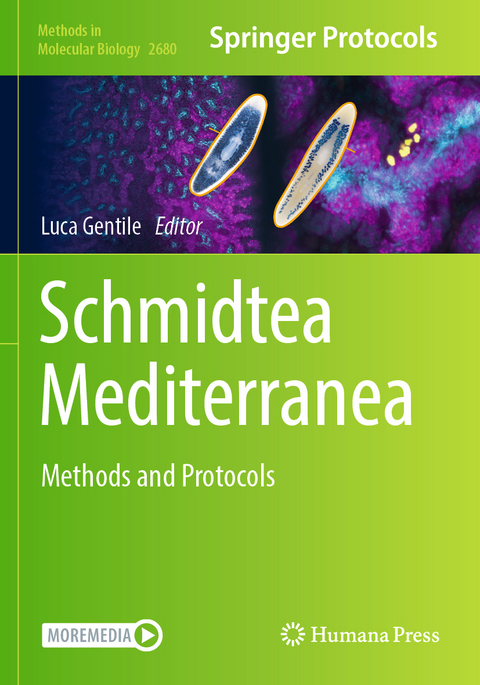 Schmidtea Mediterranea - 