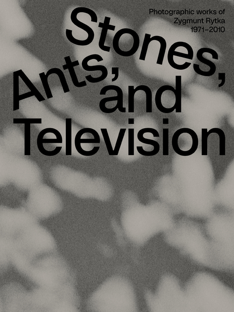 Zygmunt Rytka: Stones, Ants, and Television - Zygmunt Rytka, Anna Maria Leśniewska, David Crowley